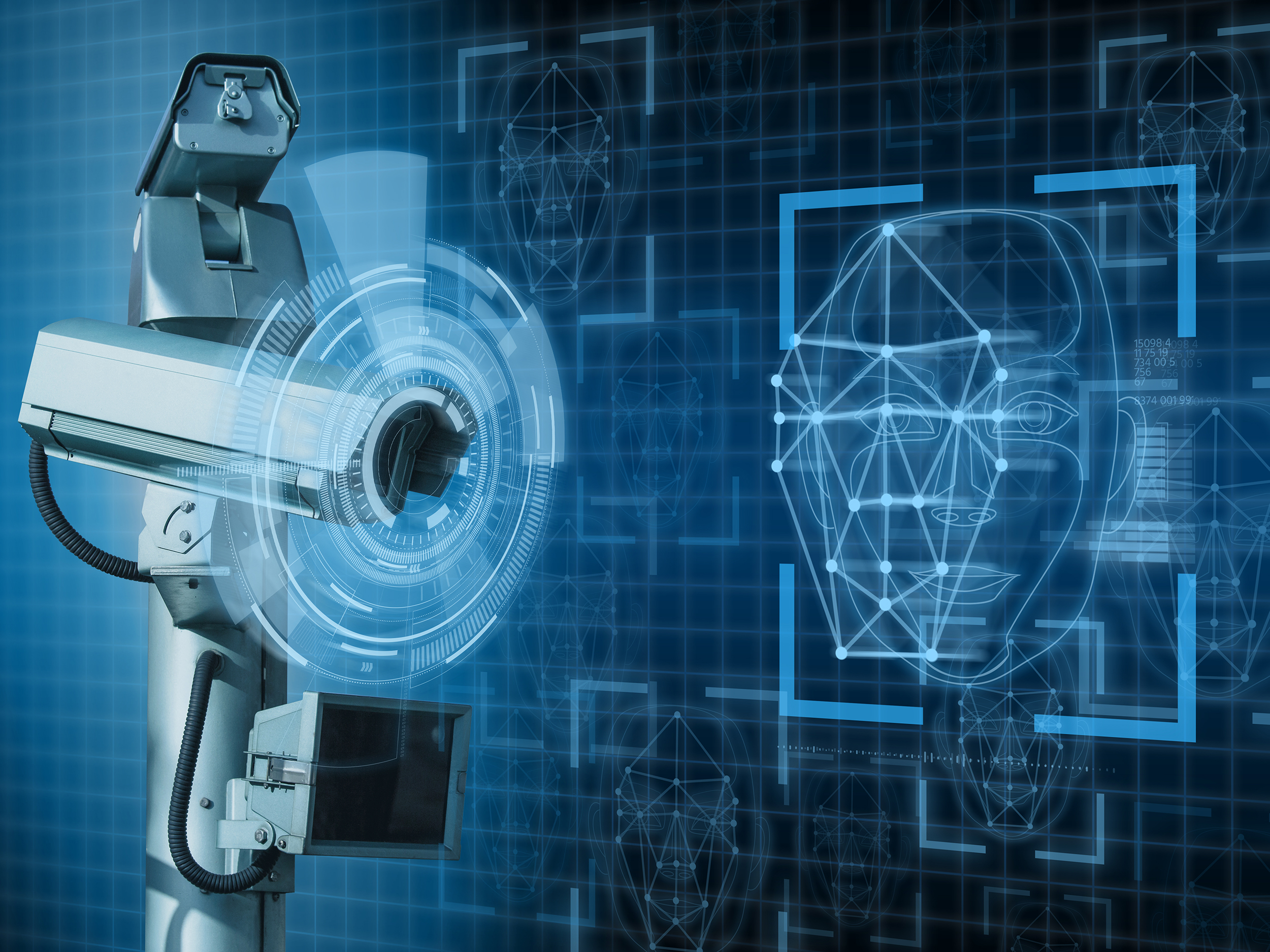 给爱居增加一道“无形”的防线